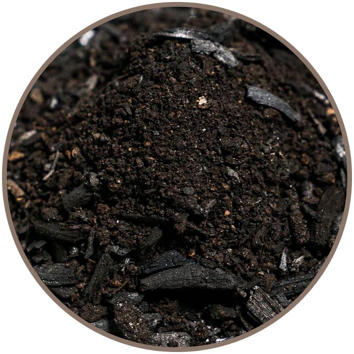 Charbon Actif, Biochar