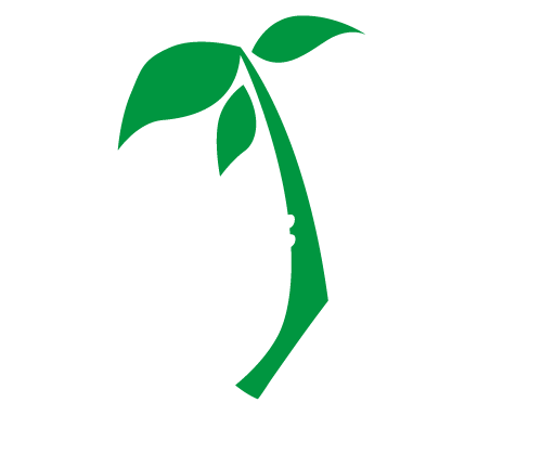 Logo Terralba. Le logo Terralba représente deux mains qui s'élèvent avec une plante qui pousse entre les deux. 