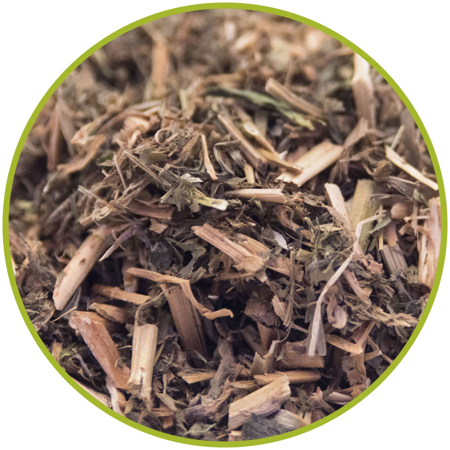 LUZERNE ALFALFA BIO 20kg