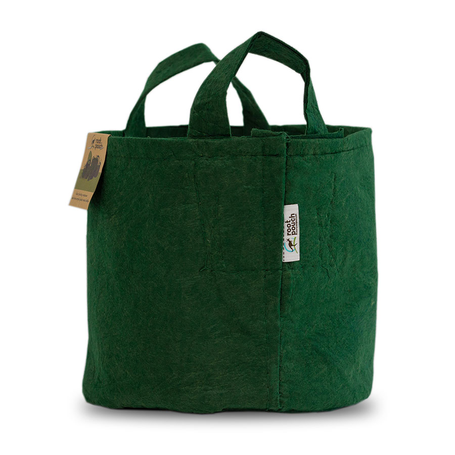 Root Pouch Boxer Line VERT FOREST 250g/m2