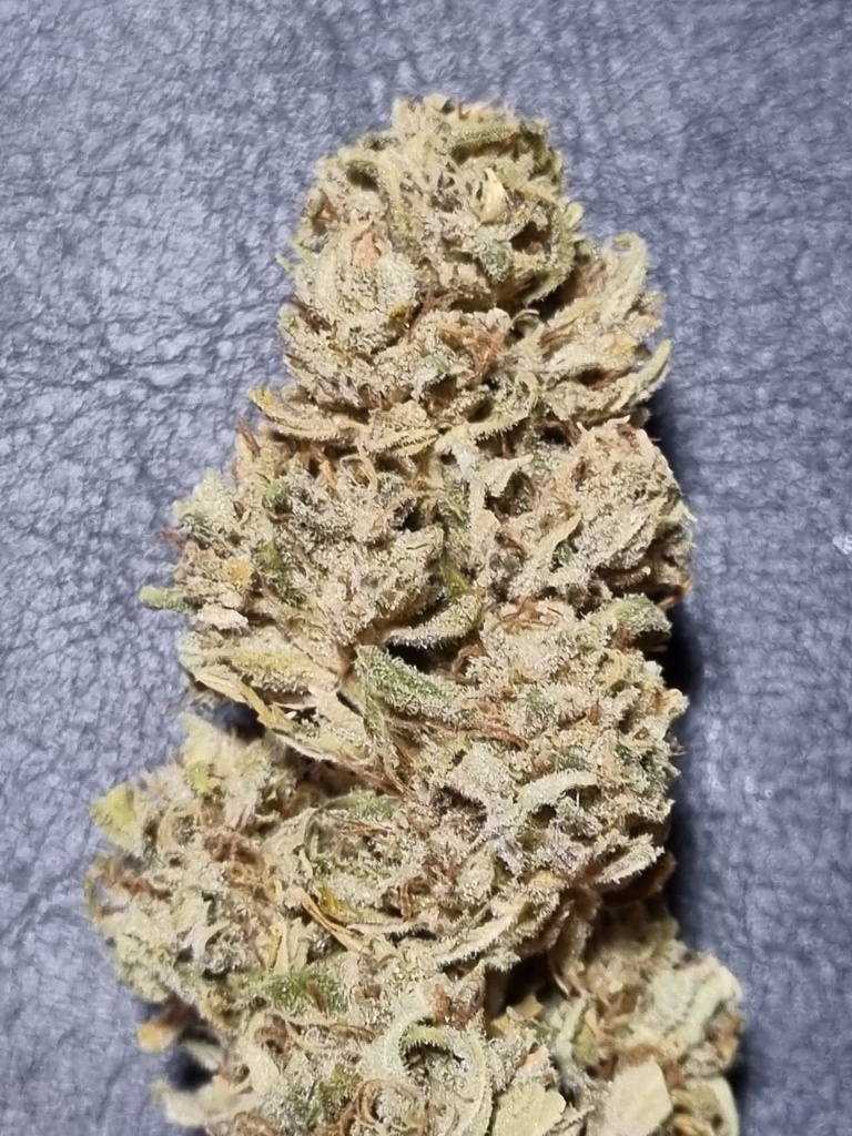 FLEURS CéBéDé Supersoil Orange Bud 2025