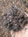 [TERREAUH10] HORTIKELERDE INNT / Innen (10Kg / 25L)