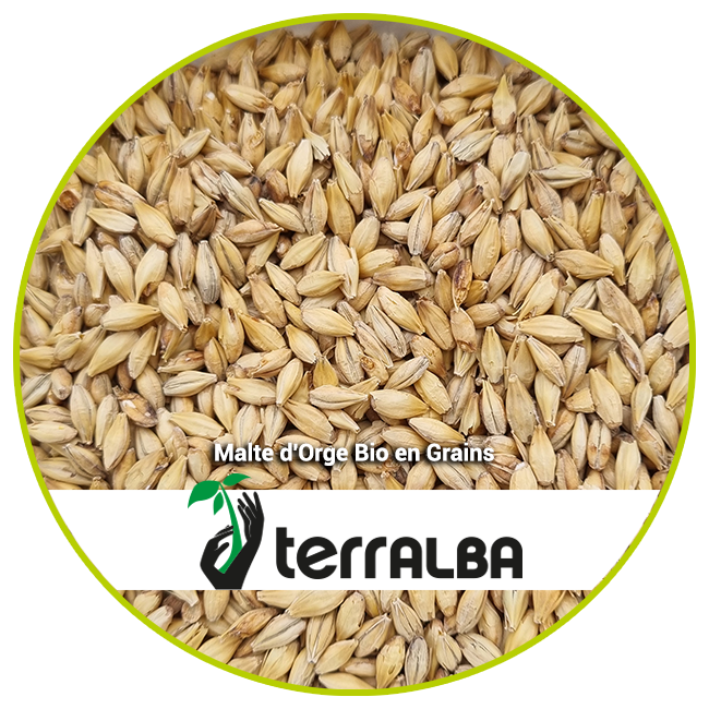 Malte organic barley grains