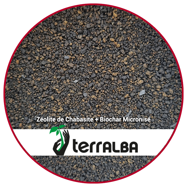 Zéolithe de Chabasite + Biochar Micronisé