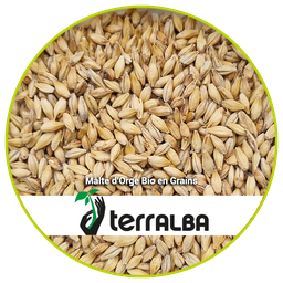 Malte organic barley grains