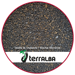 Chabasite Zeolite + Micronised Biochar